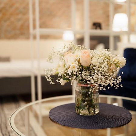 Jolie Flat In The Heart Of The City Timisoara Esterno foto
