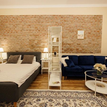 Jolie Flat In The Heart Of The City Timisoara Esterno foto