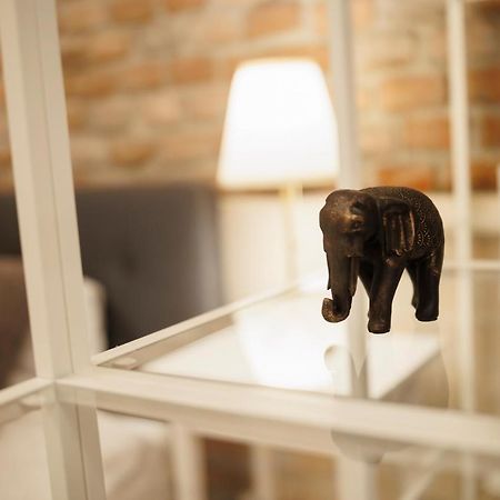 Jolie Flat In The Heart Of The City Timisoara Esterno foto