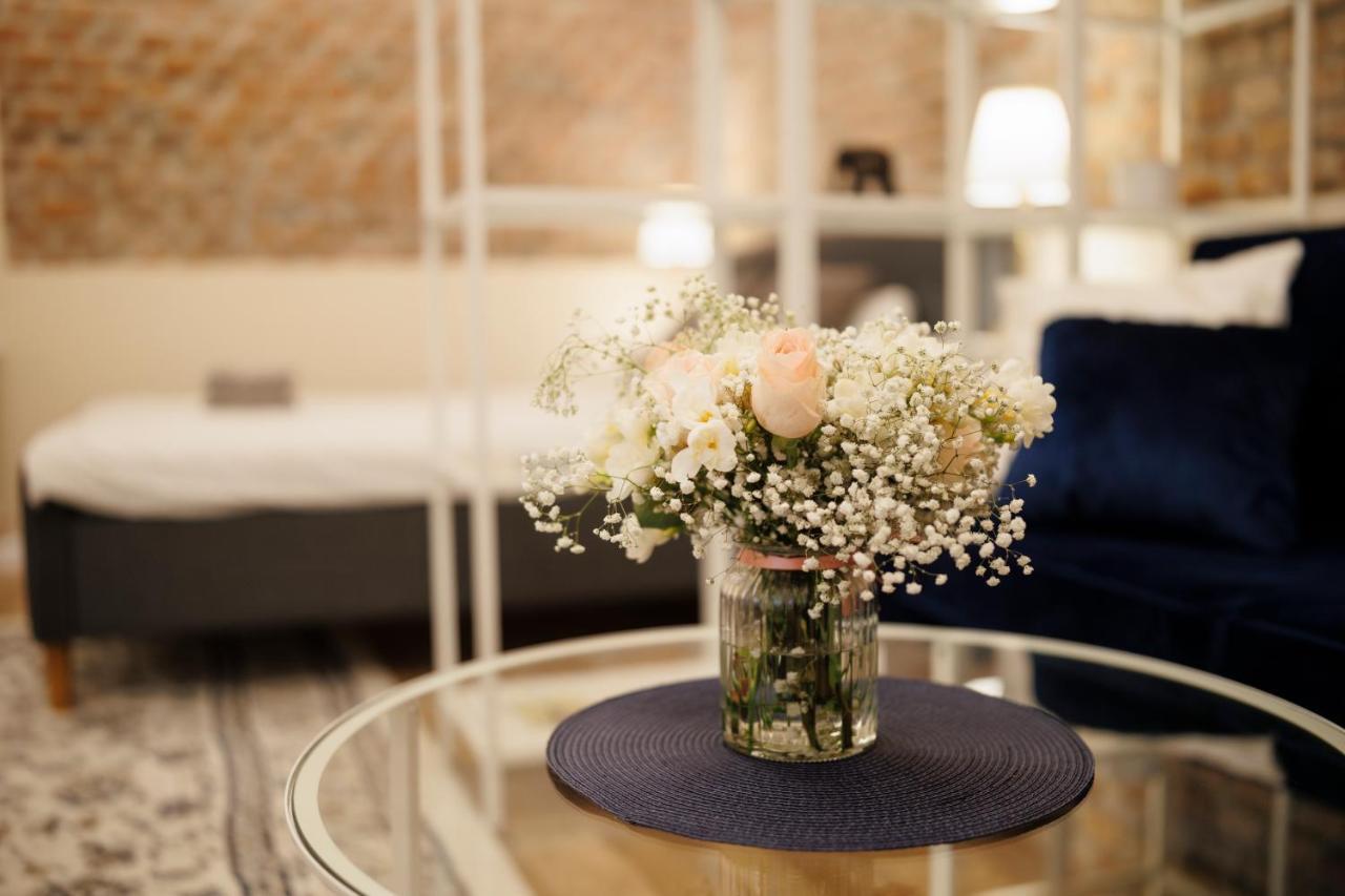 Jolie Flat In The Heart Of The City Timisoara Esterno foto