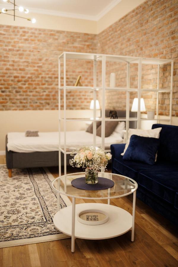 Jolie Flat In The Heart Of The City Timisoara Esterno foto