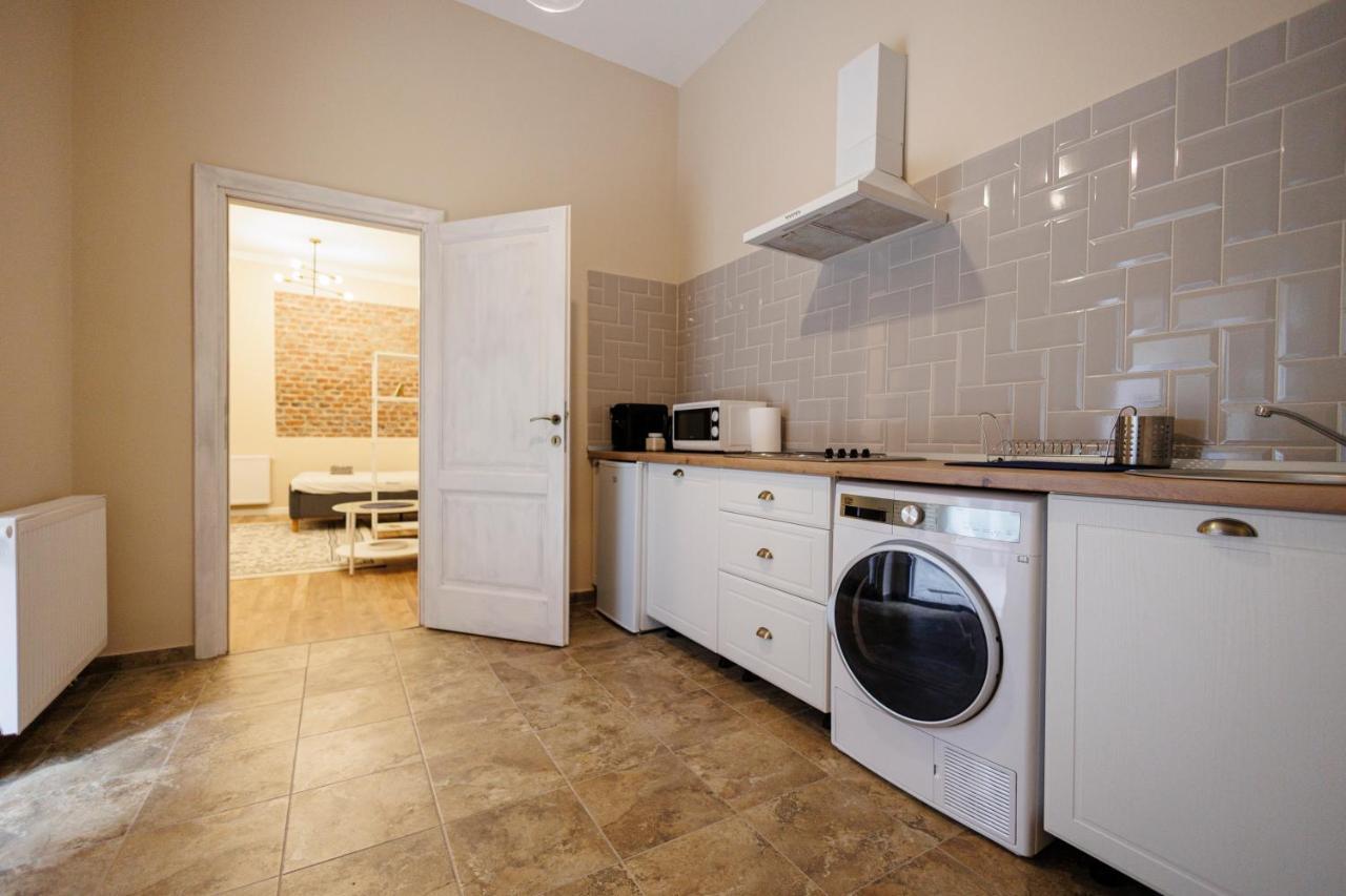 Jolie Flat In The Heart Of The City Timisoara Esterno foto