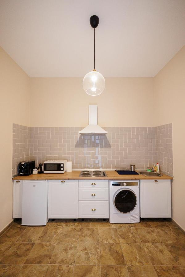 Jolie Flat In The Heart Of The City Timisoara Esterno foto