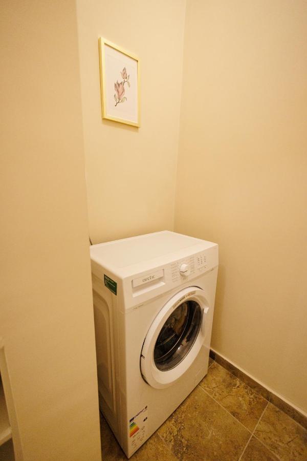Jolie Flat In The Heart Of The City Timisoara Esterno foto