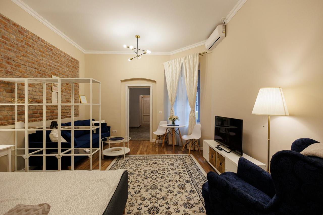 Jolie Flat In The Heart Of The City Timisoara Esterno foto