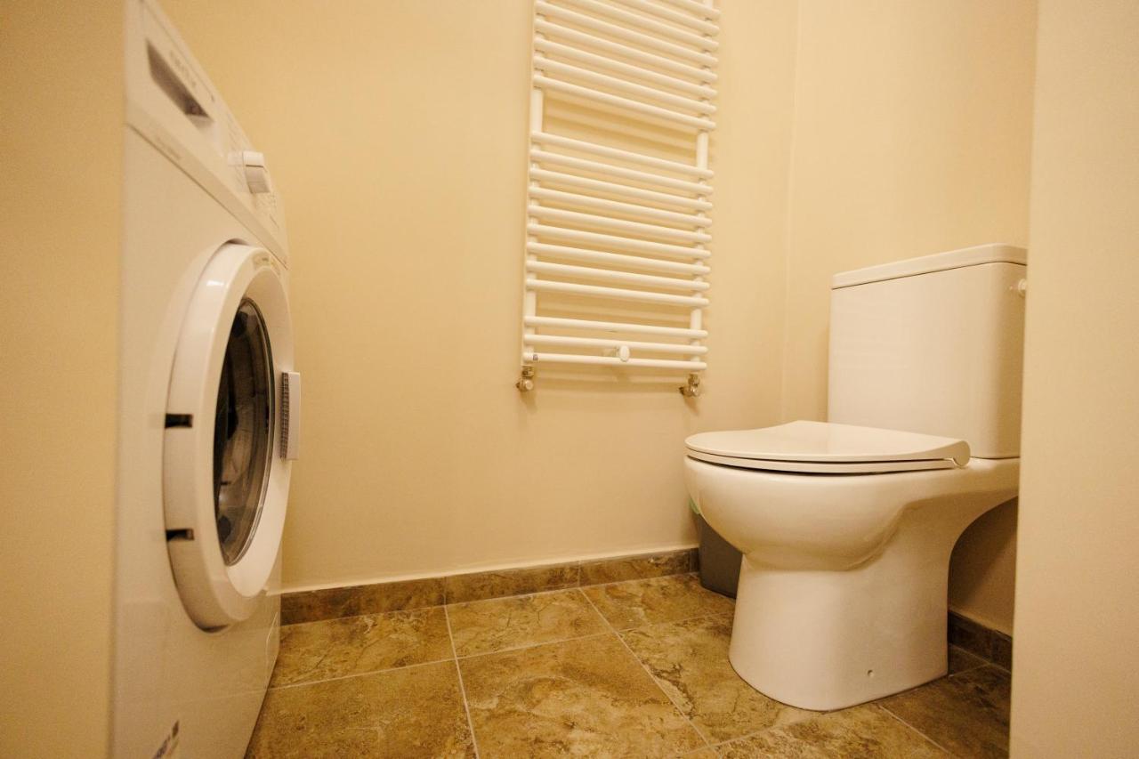 Jolie Flat In The Heart Of The City Timisoara Esterno foto
